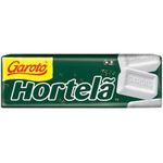 pastilha-garoto-sabor-hortela-com-10-unidades