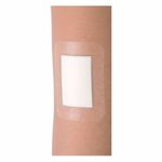 Curativo-Filme-Transparente-BSN-Medical-Leukomed-T-Plus-5cm-X-72cm-1-Unidade