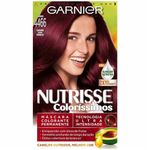 tintura-garnier-nutrisse-colorissimos-castanho-4466