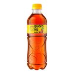 Cha-gelado-Leao-guarana-acai-450ml
