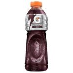 comprar-na-farma22-gatorade-uva-500ml