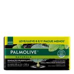 comprar-na-farma22-sabonete-palmolive-naturals-sensacao-purificante-85g